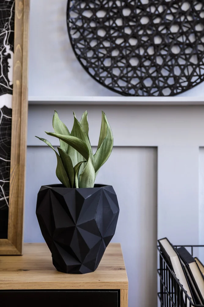 Black geometric planter with a green snake plant on a wooden surface, against a pale wall with decorative metal art in the background